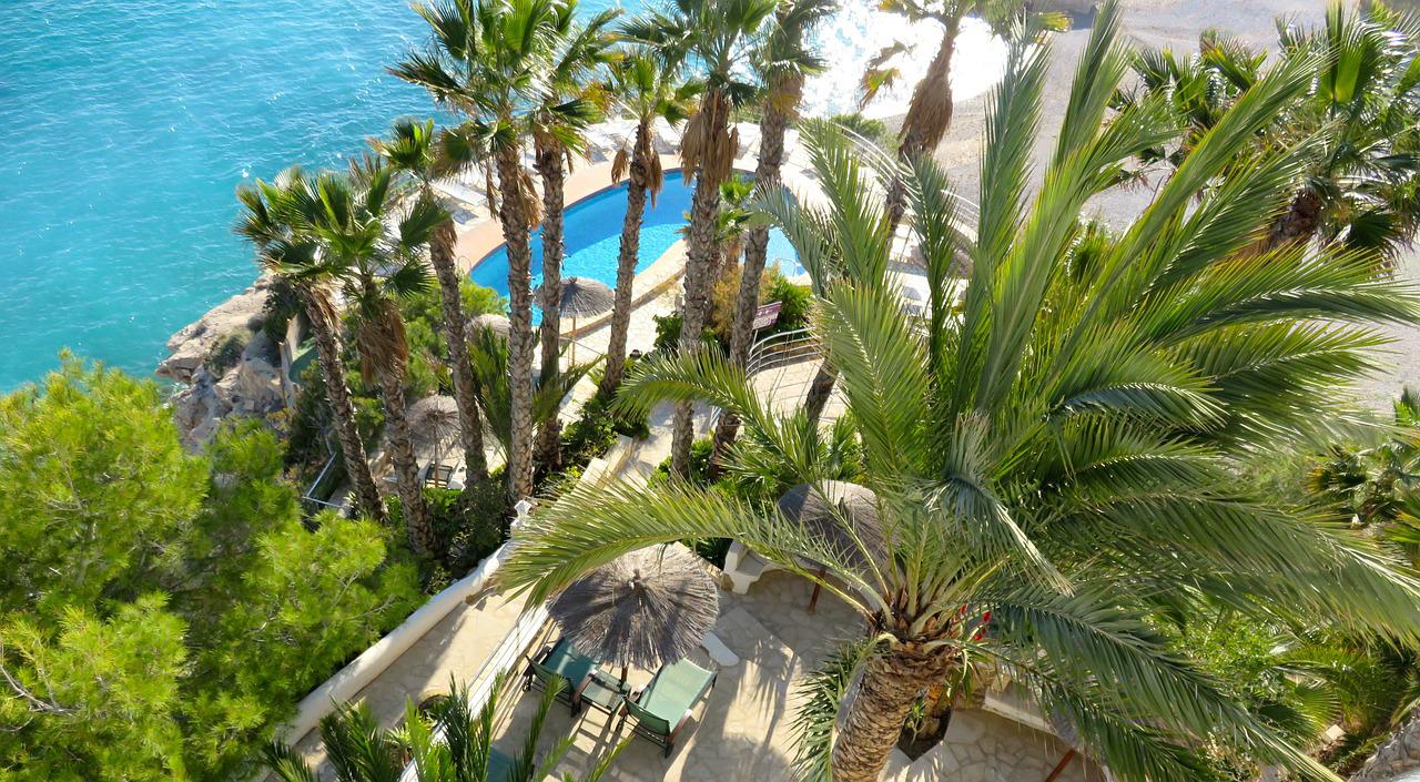 palm, swimming pool, palma trees-966994.jpg